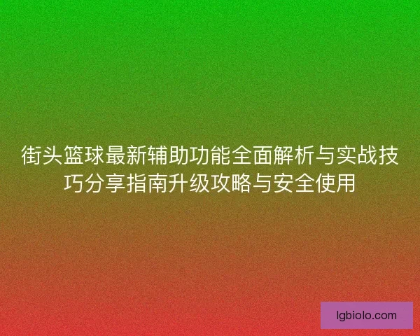 街头篮球最新辅助功能全面解析与实战技巧分享指南升级攻略与安全使用