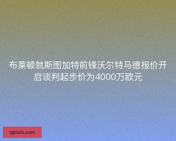 布莱顿就斯图加特前锋沃尔特马德报价开启谈判起步价为4000万欧元 布莱顿就斯图加特前锋沃尔特马德报价开启谈判起步价为4000万欧元